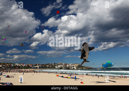 Festival de, vent, dragon, kite, d'aéronefs, fun, Bondi Beach, Sydney, plage, mer, direction dragon, vent, vagues, nuages, fest Banque D'Images