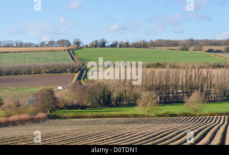 Matin à la scène à travers les terres agricoles de la vallée de la Darent près de Eynesford dans le Kent. Banque D'Images