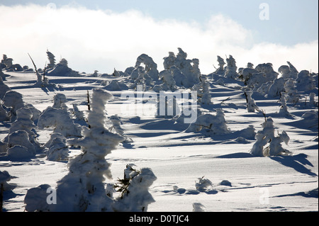 Sur la montagne Szrenica, Szklarska Poreba, Pologne Banque D'Images