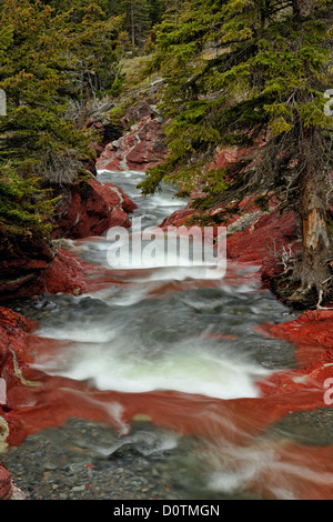 Le Red Rock Creek qui coule à travers les sédiments érodés des argilites de Red Rock Canyon, Waterton Lakes National Park, Alberta, Canada Banque D'Images