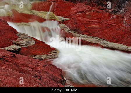 Le Red Rock Creek qui coule à travers les sédiments érodés des argilites de Red Rock Canyon, Waterton Lakes National Park, Alberta, Canada Banque D'Images