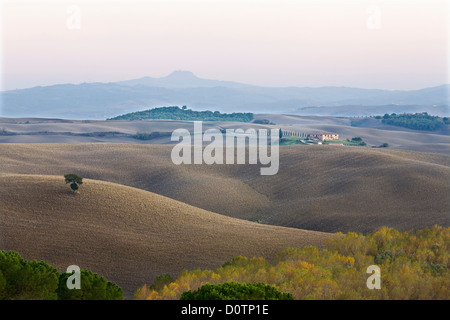 L'Europe, Italie, Toscane, Val d' Orcia et afficher de radicofani Banque D'Images