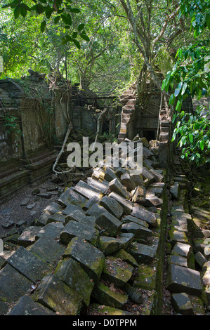 Ruines de Beng Mealea, Angkor, Cambodge Banque D'Images