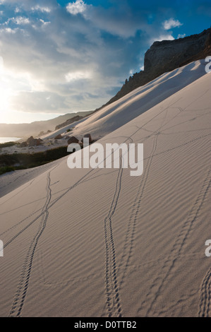 Dunes de sable de Archer, île de Socotra, au Yémen Banque D'Images