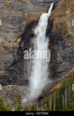 Takkakaw Falls, 2e plus haute de l'ouest du Canada, le parc national Yoho, Colombie-Britannique, Canada Banque D'Images