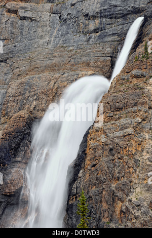 Takkakaw Falls, 2e plus haute de l'ouest du Canada, le parc national Yoho, Colombie-Britannique, Canada Banque D'Images