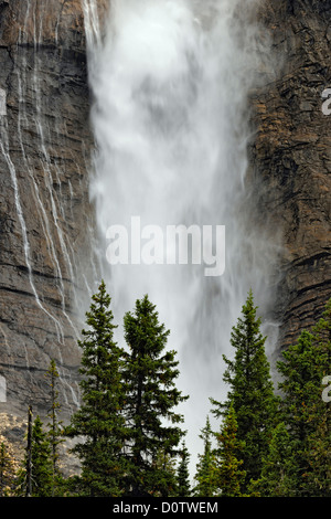 Takkakaw Falls, 2e plus haute de l'ouest du Canada, le parc national Yoho, Colombie-Britannique, Canada Banque D'Images