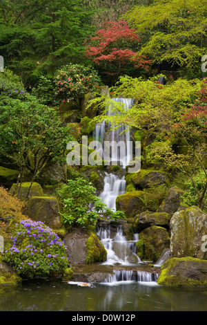 Garden, Portland, Portland Japanese Garden, un jardin japonais, les chutes, l'eau, cascade, chutes d'eau, ruisseau, étang, Fa Céleste Banque D'Images