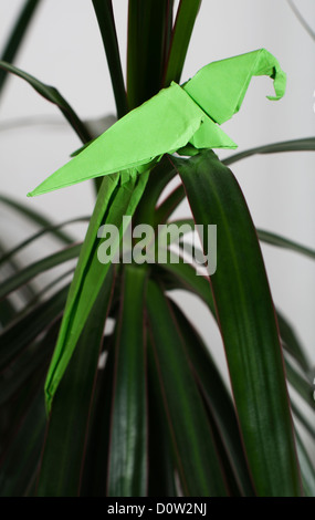 Perroquet sur un arbre. Origami plié. Du papier fait Parrot. Banque D'Images