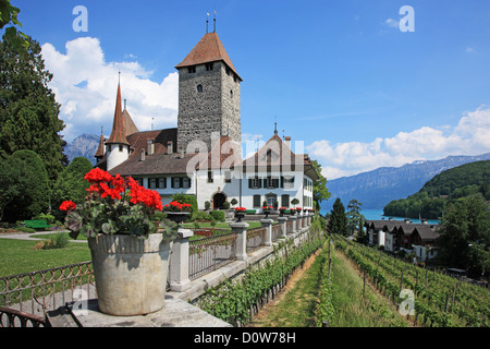 La Suisse, dans le canton de Berne, au lac de Thoune, Spiez Spiez Château Banque D'Images