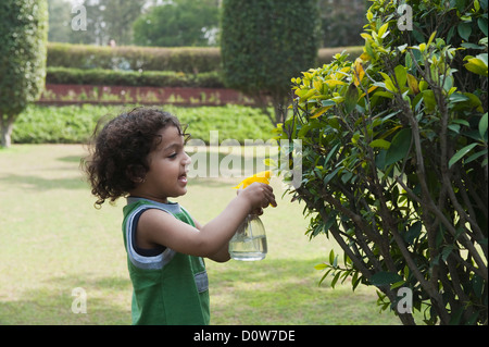 Boy pulvériser de l'eau sur les plantes dans un jardin Banque D'Images