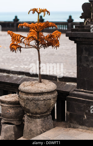 Pura Tanah Lot - temple hindou sur Bali, Indonésie Banque D'Images