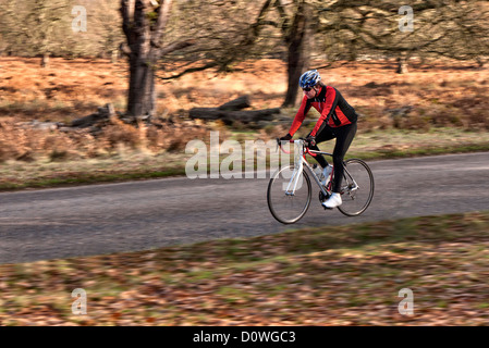 Cycliste à Richmond Park Banque D'Images