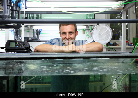 Rostock, Allemagne, un étudiant de troisième cycle dans le laboratoire de l'Université de crevettes d'élevage à Rostock Banque D'Images