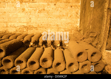 Des bouteilles de vin historique. Couvert de poussière dans une vieille cave. Banque D'Images