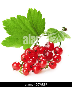 groseille rouge Banque D'Images