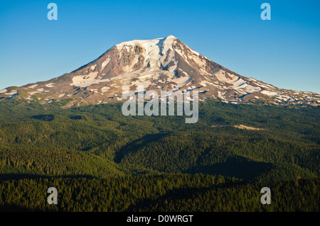 Conseil de Mont Adams Bluff, Gifford Pinchot National Forest, Washington. Banque D'Images