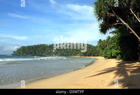 Beau paradis tropical beach sable doré à Tangalle, Sri Lanka Banque D'Images
