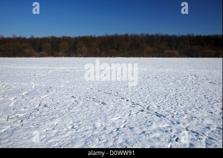 Un champ couvert de neige près d'une forêt en hiver Banque D'Images