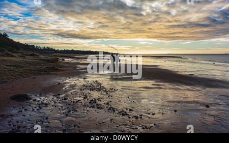 Près de la mer des Wadden, Esbjerg, Danemark Sjelborg Banque D'Images