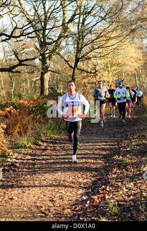 2 décembre 2012. Les coureurs participant à la course de 10k noël Cropton ,Sherwood Forest Dorset. UK. Banque D'Images