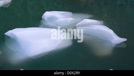 Mini-Icebergs en vert. Des morceaux de glace fondante du Fantôme Glacier flottent dans l'étang en dessous de sa langue maternelle. Banque D'Images