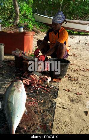 Les pêcheurs de la préparation et de l'éviscération du poisson frais sur la plage en utilisant un bloc de bois et une petite machette, Seychelles Banque D'Images