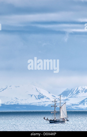 Bateau à voile dans l'Isfjorden, Spitsbergen, Svalbard, Norvège Banque D'Images