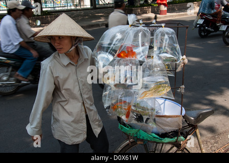 Une femme non identifiée vend des poissons rouges le 14 février 2006 à Ho Chi Minh City, Vietnam. Banque D'Images