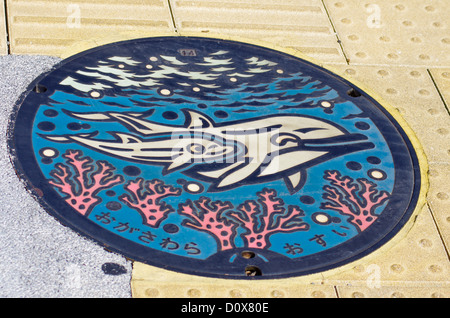 Couvercle coloré sur Chichijima, Îles d'Ogasawara, Tokyo, Japon Banque D'Images