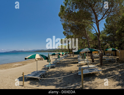 Punta Ala, Italie, Europe, Toscane, Toscane, mer, plage, mer, chaises longues Banque D'Images