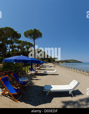 Punta Ala, Italie, Europe, Toscane, Toscane, mer, plage, mer, chaises longues Banque D'Images