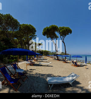 Punta Ala, Italie, Europe, Toscane, Toscane, mer, plage, mer, chaises longues Banque D'Images