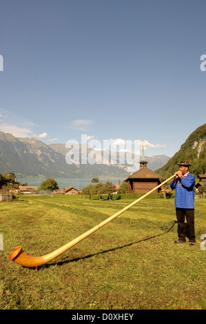 Cor des Alpes, l'homme, de cors, de la soufflante, champ, de la tradition, de l'Oberland bernois, Iseltwald, canton de Berne, Suisse, Europe, Banque D'Images