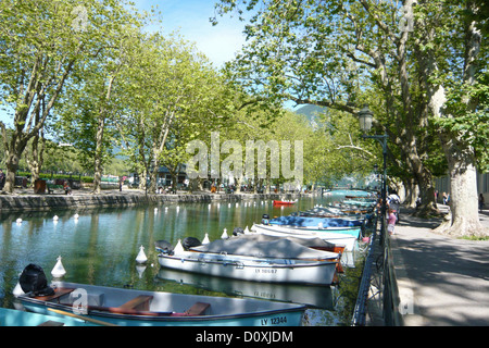 La France, l'Europe, Annecy, Haute-Savoie, avirons, rivière, écoulement, promenade Banque D'Images