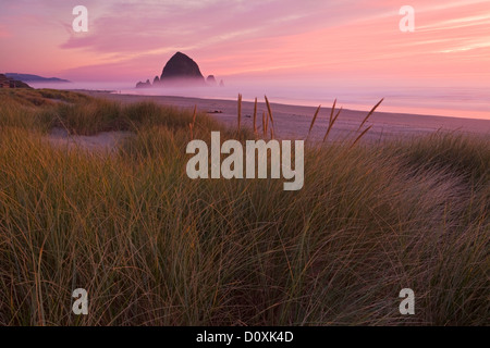 USA, Haystack Rock, seastack, ou, de l'Oregon, littoral, mer, côte pile, plage, mer, océan, Océan Pacifique, brouillard, brume, brouillard, coucher du soleil Banque D'Images