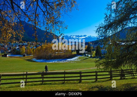 L'Autriche, Europe, Tyrol, Vorarlberg, Seefeld, Kalkkögel, meadow, bouleaux, jaune, bleu, neige, montagne, voyage, vacances, voyageur, Banque D'Images