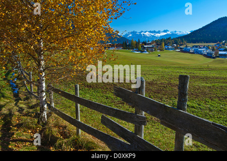 L'Autriche, Europe, Tyrol, Vorarlberg, Seefeld, pâturage, clôture, place, montagnes, Kalkkögel, bouleau, bouleaux, jaune, vert, ciel, locations Banque D'Images