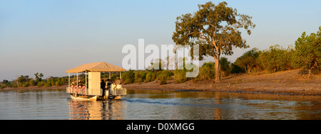 L'Afrique, Botswana, Chobe, National Parc, rivière, bateau, tour, l'arbre, panorama, safari Banque D'Images