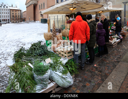 Le décrochage à Strøget Nytorv, Copenhague, Danemark, la vente de fruits, les décorations de Noël, des plantes vertes, l'épinette, les chèvres de paille, etc. Banque D'Images