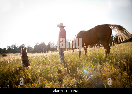 L'homme dans un champ avec un cheval et de chien Banque D'Images