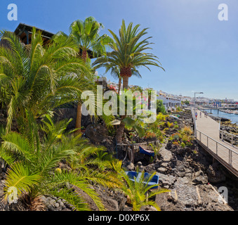L'Espagne, Lanzarote, Puerto del Carmen, cactus, palmiers, jardin, port, paysage, forêt, bois, arbres, été, Canaries, Banque D'Images