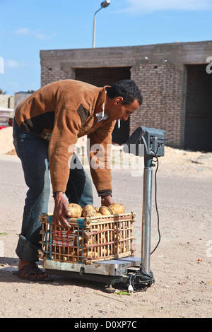 Egypte - 2 février : pommes de pesée dans la rue le 2 février 2011 à Dahab, Egypte. Banque D'Images