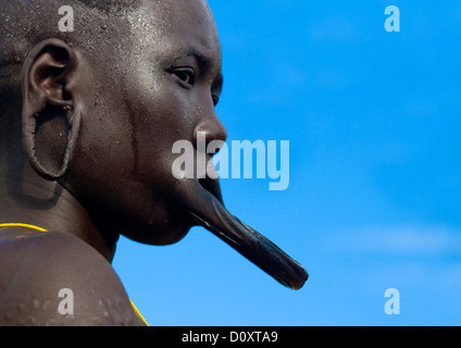 Portrait d'une femme de la tribu Mursi avec la lèvre plate, scarifications et oreilles élargie dans le Parc National de Mago, vallée de l'Omo, Ethiopie Banque D'Images