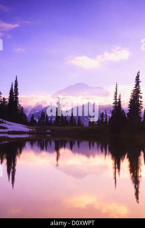 Reflétant étang près de Tipsoo Lac au coucher du soleil, le Mont Rainier National Park, Washington, USA Banque D'Images