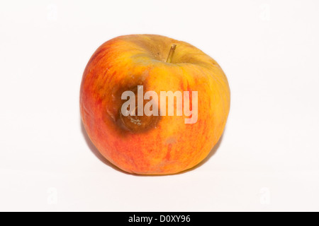 Rotten apple, isolated on white Banque D'Images