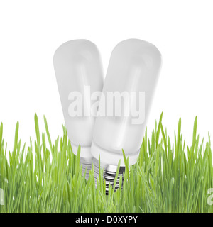 Light bulb on grass Banque D'Images