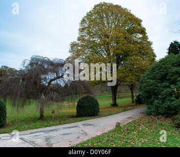 Cockington, Devon, Angleterre. Le 30 novembre 2013. Scène d'un parc avec un homme et son chien. Banque D'Images