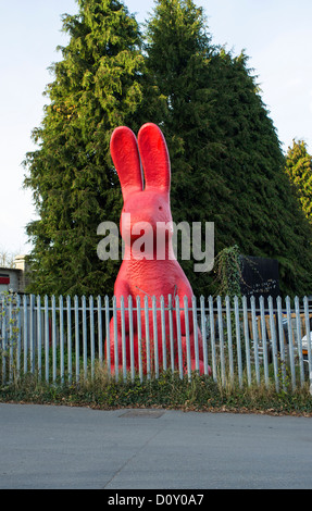 Bovey Tracey, Devon, Angleterre. Le 29 novembre 2012. Grand modèle lapin rouge sur le côté de la route attaché à une clôture. Banque D'Images