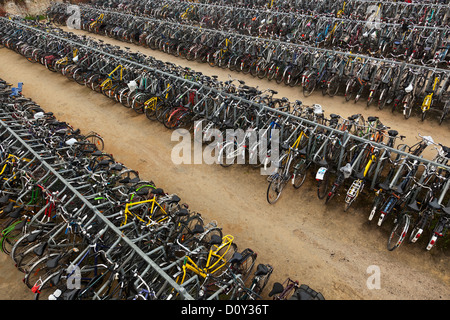 Porte-vélo communales, Gand, Belgique Banque D'Images